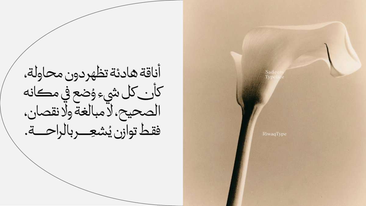 Sadeem Arabic typeface – خط سديم عربي - Image 11